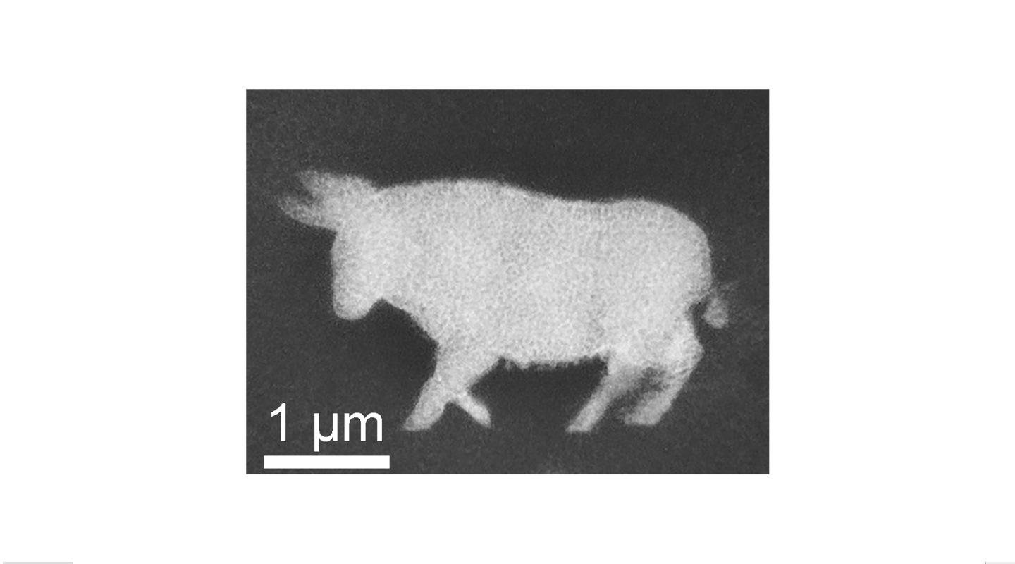 以FP-TPL系统打印出来的银纳米牛，以庆牛年。图中白线代表一微米，即一毫米的千分之一