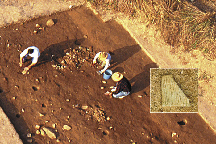 Stone beater in-situ near the 6,200-year-old house remains at the Tai Wan site in Hong Kong