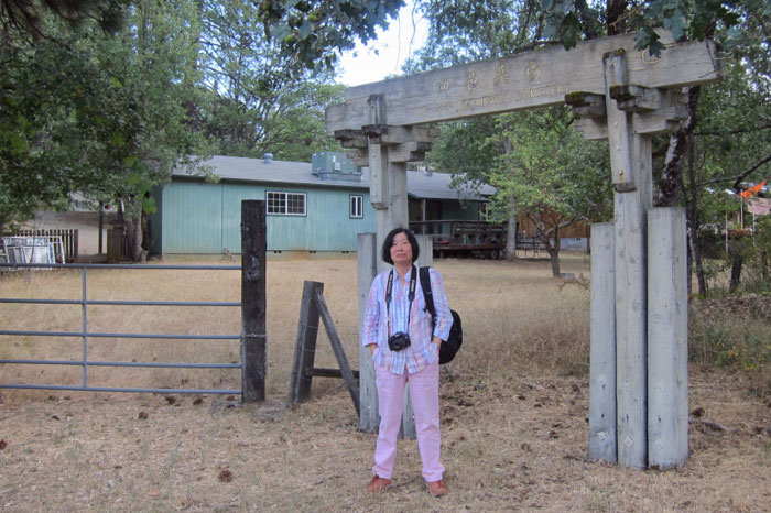Professor Yip visits an overseas Chinese cemetery
