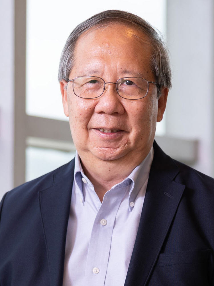 photo of Professor WONG Teng Fong