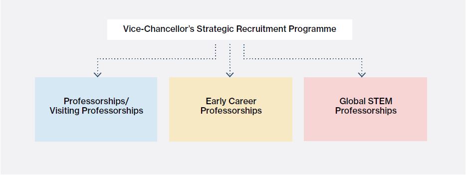 Vice-Chancellor's Strategic Recruitment Programme