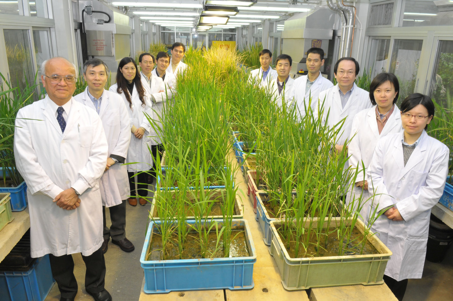 农业生物技术国家重点实验室（香港中文大学）