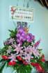 dsc_0008_small.jpg