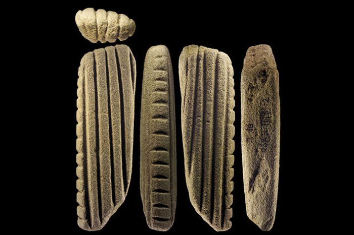 世界最早期樹皮布製作工具──深圳咸頭嶺遺址出土樹皮布石拍