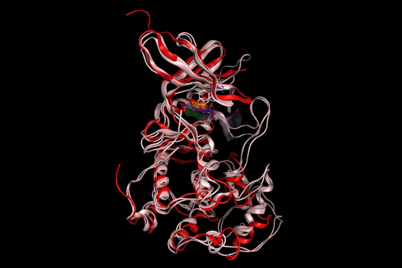 CCRK structure overlay with small molecule in kinase pocket. Professor Cheng is working closely with experts in chemistry and computer engineering to discover CCRK-targeted drugs