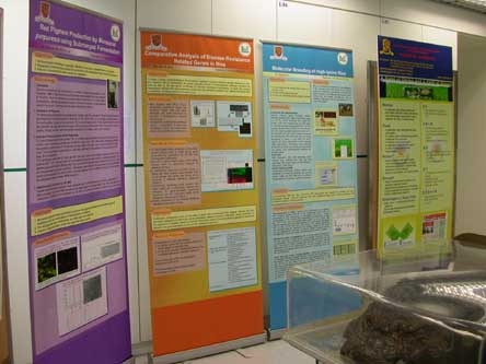 20041030a-5
