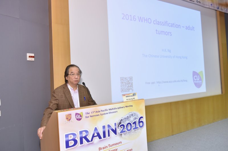 Brain 2016