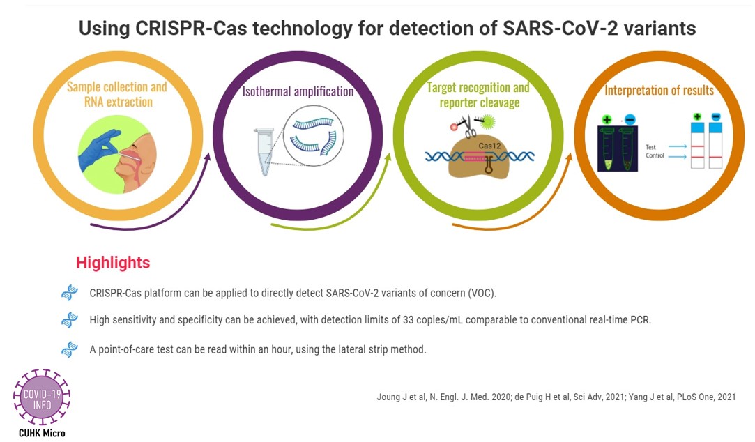 Using CRISPR-Cas technology for detection of SARS-CoV-2 variants