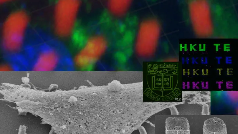 Multiphoton Microfabrication and Micropatterning