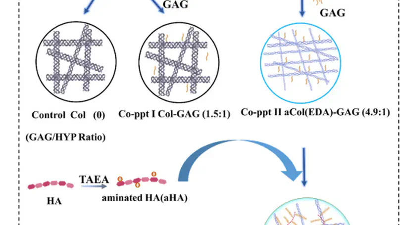 A Bio-Inspired Nano-Material Recapitulating the Composition, Ultra-Structure, and Function of the Glycosaminoglycan-Rich Extracellular Matrix of Nucleus Pulposus